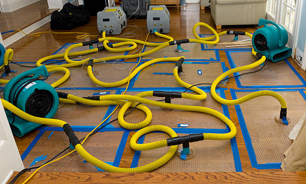 Professional Water Extraction technician working in San Carlos, TX